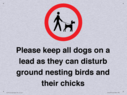 please-keep-all-dogs-on-a-lead-as-they-can-disturb-ground-nesting-birds-and-thei~